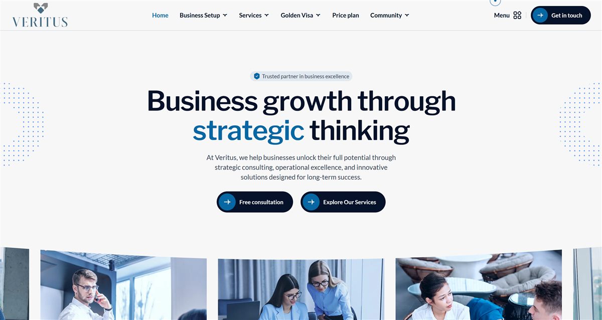 Veritus — Business Elite Solutions